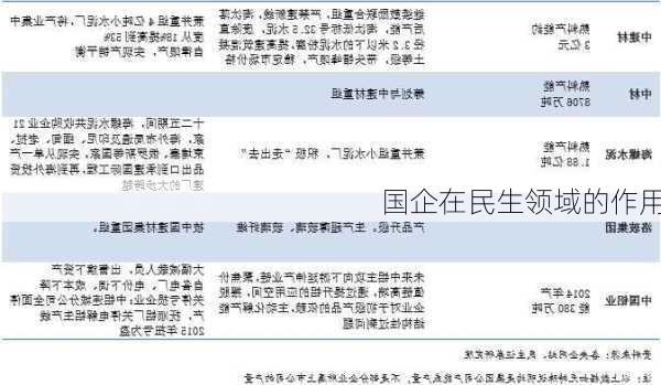 国企在民生领域的作用