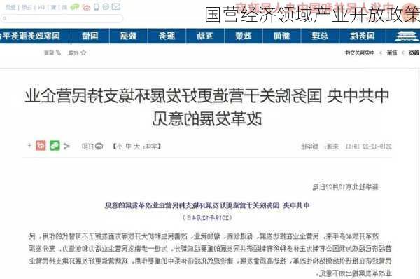 国营经济领域产业开放政策