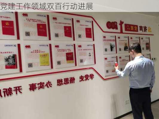 党建工作领域双百行动进展