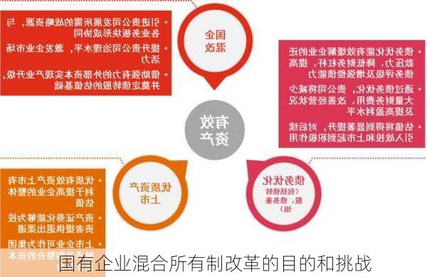 国有企业混合所有制改革的目的和挑战