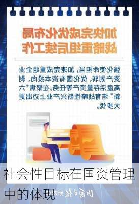 社会性目标在国资管理中的体现