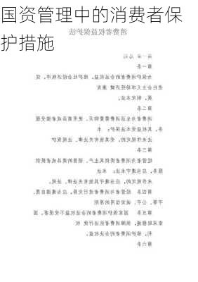 国资管理中的消费者保护措施