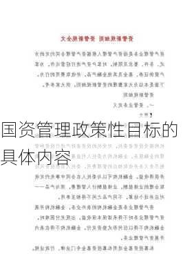 国资管理政策性目标的具体内容