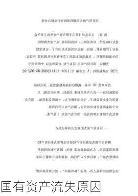 国有资产流失原因