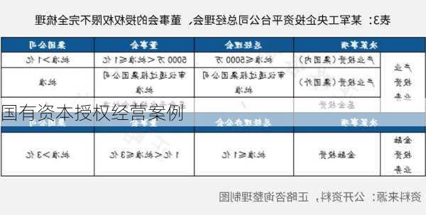 国有资本授权经营案例