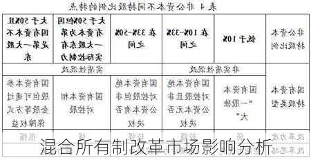 混合所有制改革市场影响分析