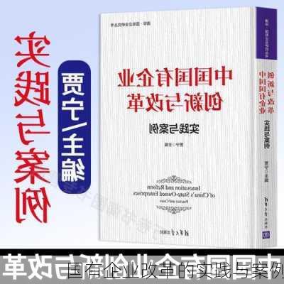 国有企业改革的实践与案例