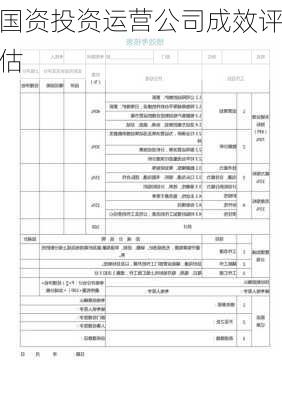 国资投资运营公司成效评估