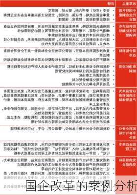 国企改革的案例分析