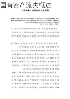 国有资产流失概述