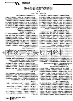 国有资产流失原因分析