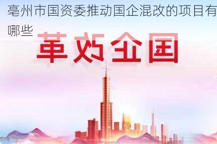 亳州市国资委推动国企混改的项目有哪些