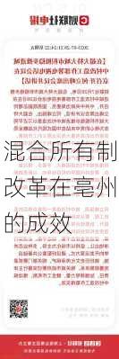 混合所有制改革在亳州的成效
