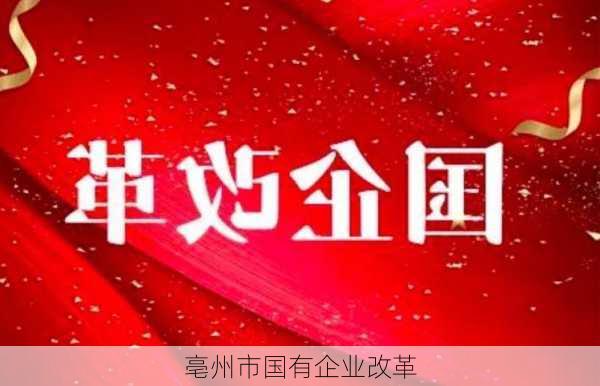 亳州市国有企业改革