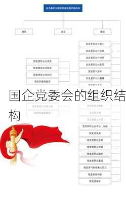 国企党委会的组织结构