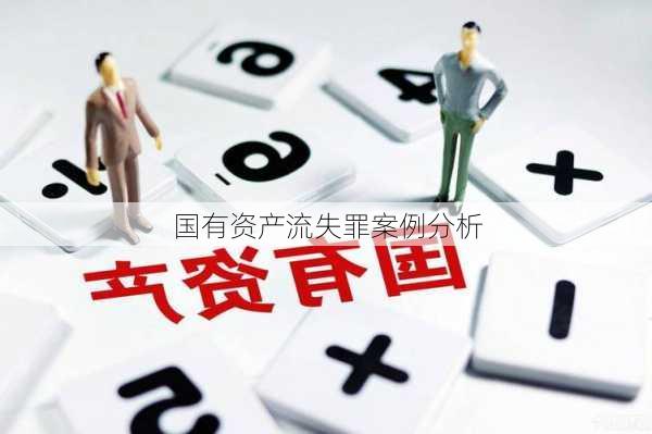 国有资产流失罪案例分析