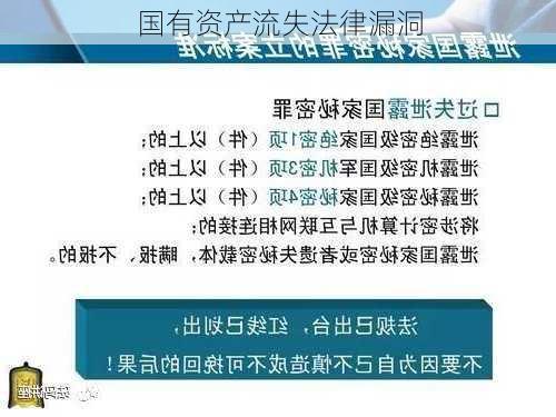 国有资产流失法律漏洞