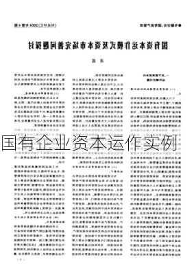国有企业资本运作实例