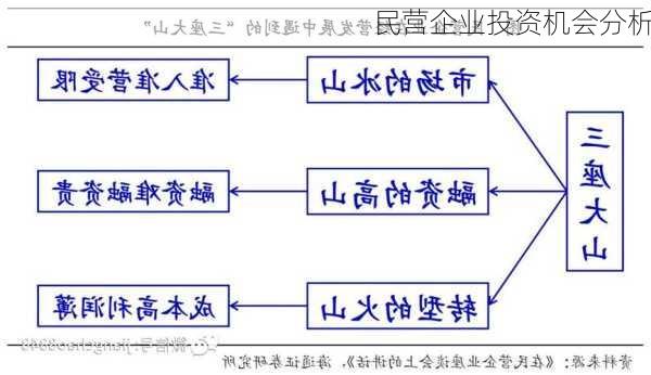 民营企业投资机会分析