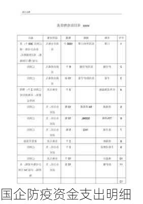 国企防疫资金支出明细