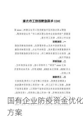 国有企业防疫资金优化方案