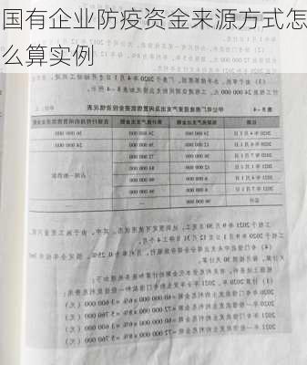 国有企业防疫资金来源方式怎么算实例