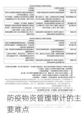 防疫物资管理审计的主要难点