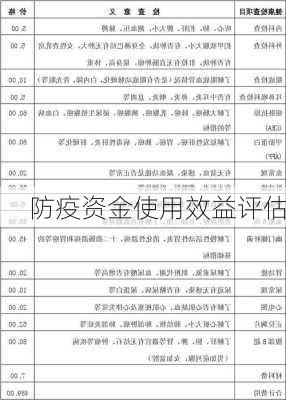 防疫资金使用效益评估