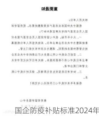 国企防疫补贴标准2024年