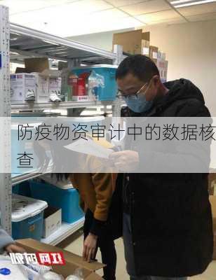 防疫物资审计中的数据核查
