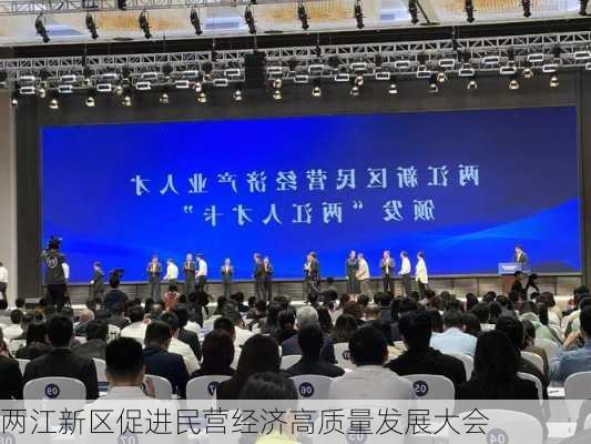 两江新区促进民营经济高质量发展大会