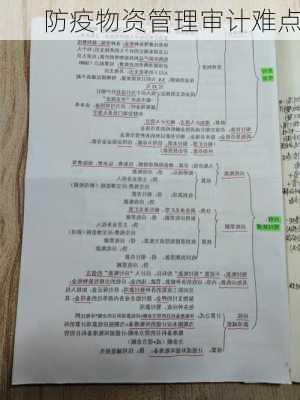 防疫物资管理审计难点