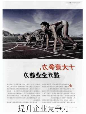 提升企业竞争力