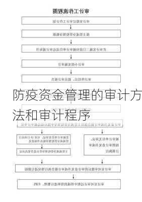 防疫资金管理的审计方法和审计程序