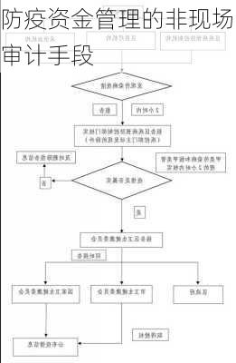防疫资金管理的非现场审计手段