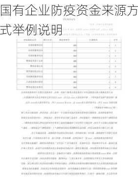 国有企业防疫资金来源方式举例说明