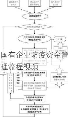 国有企业防疫资金管理流程视频