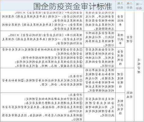 国企防疫资金审计标准