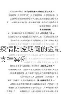 疫情防控期间的金融支持案例