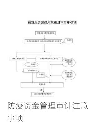 防疫资金管理审计注意事项