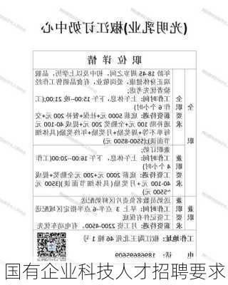 国有企业科技人才招聘要求