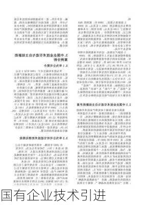 国有企业技术引进