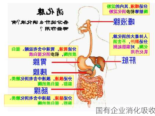 国有企业消化吸收