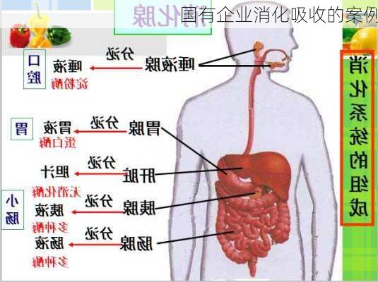 国有企业消化吸收的案例