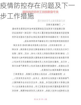疫情防控存在问题及下一步工作措施