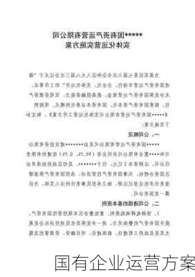 国有企业运营方案