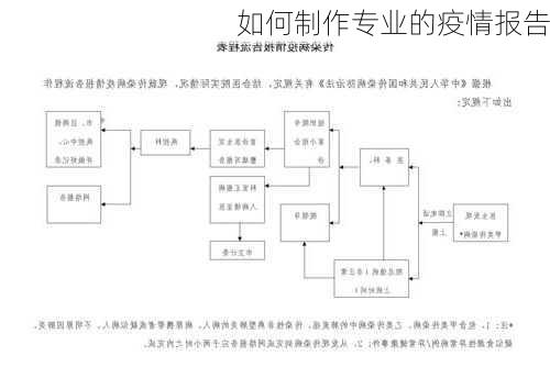 如何制作专业的疫情报告