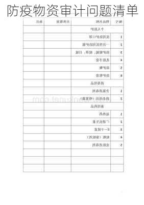 防疫物资审计问题清单