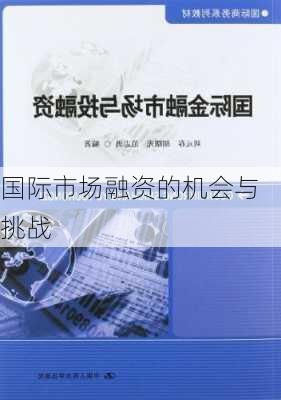 国际市场融资的机会与挑战