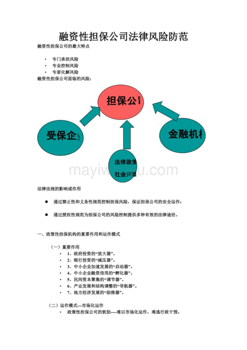 提供担保融资的法律风险